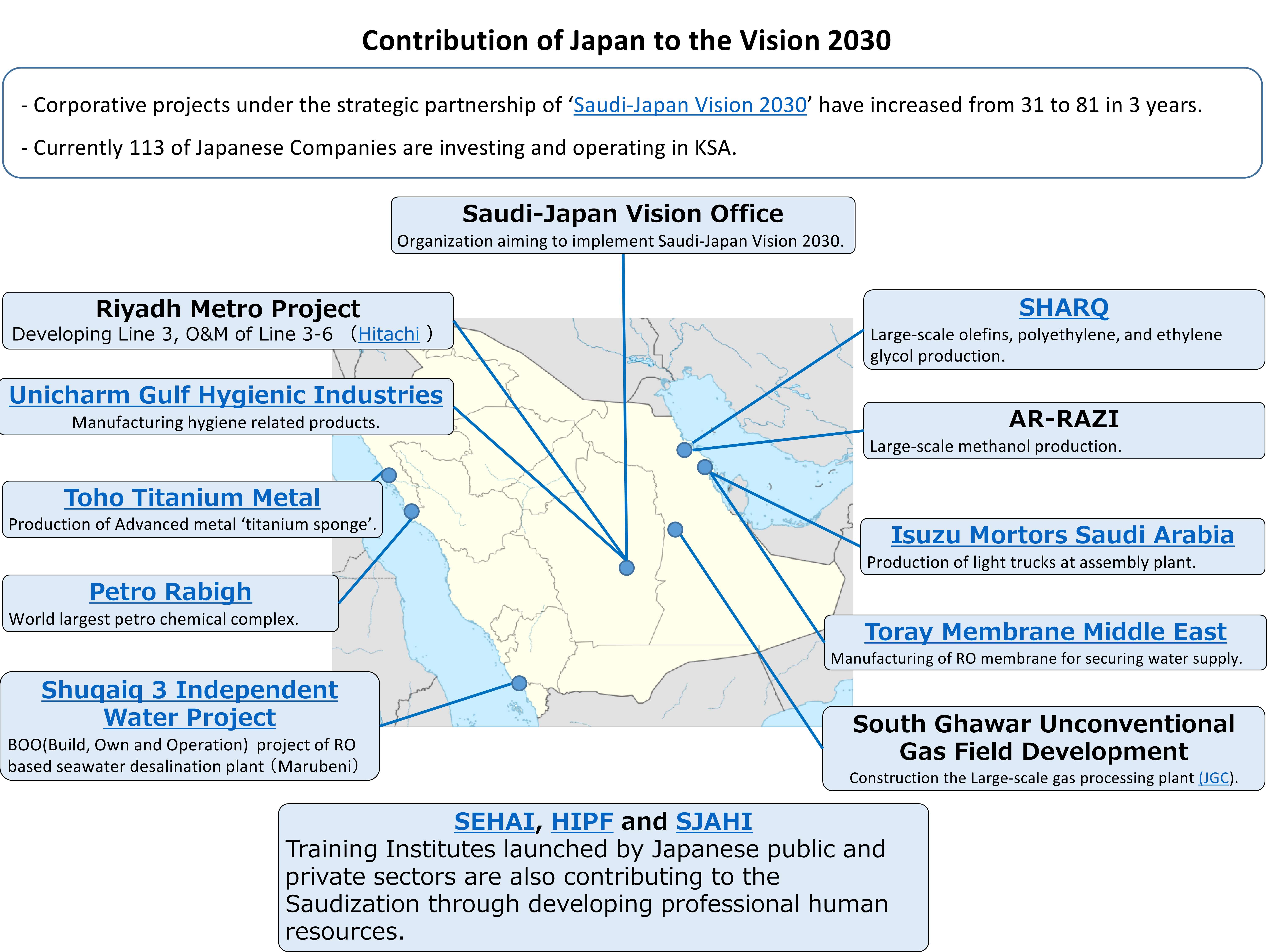Contribution of Japan to the Vision 2030